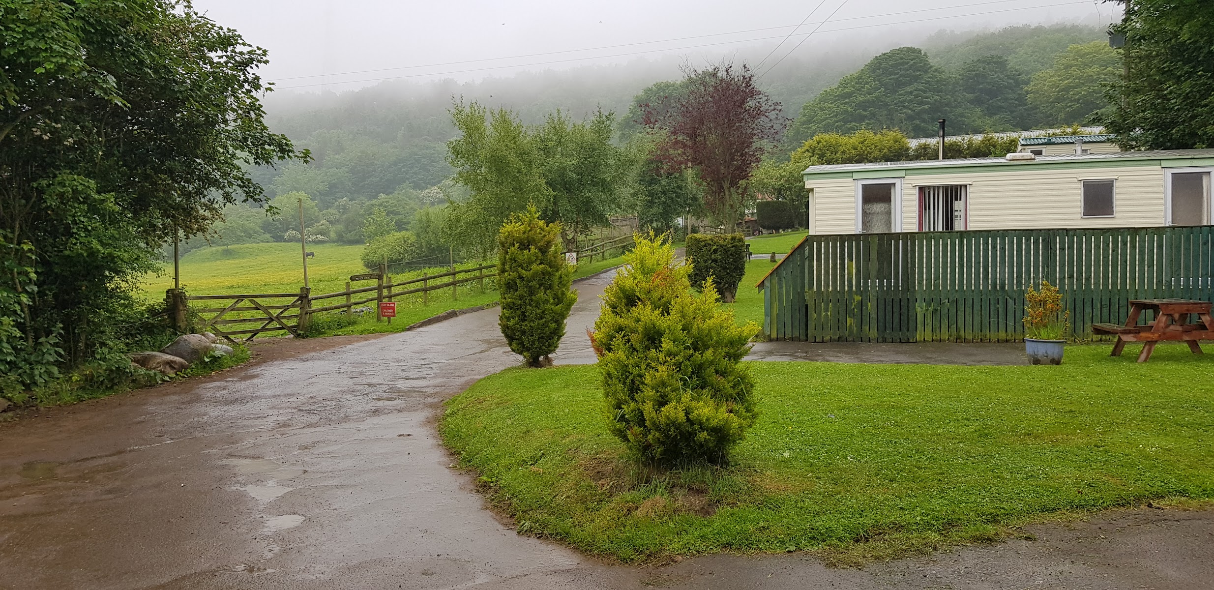 Row Brow Farm
