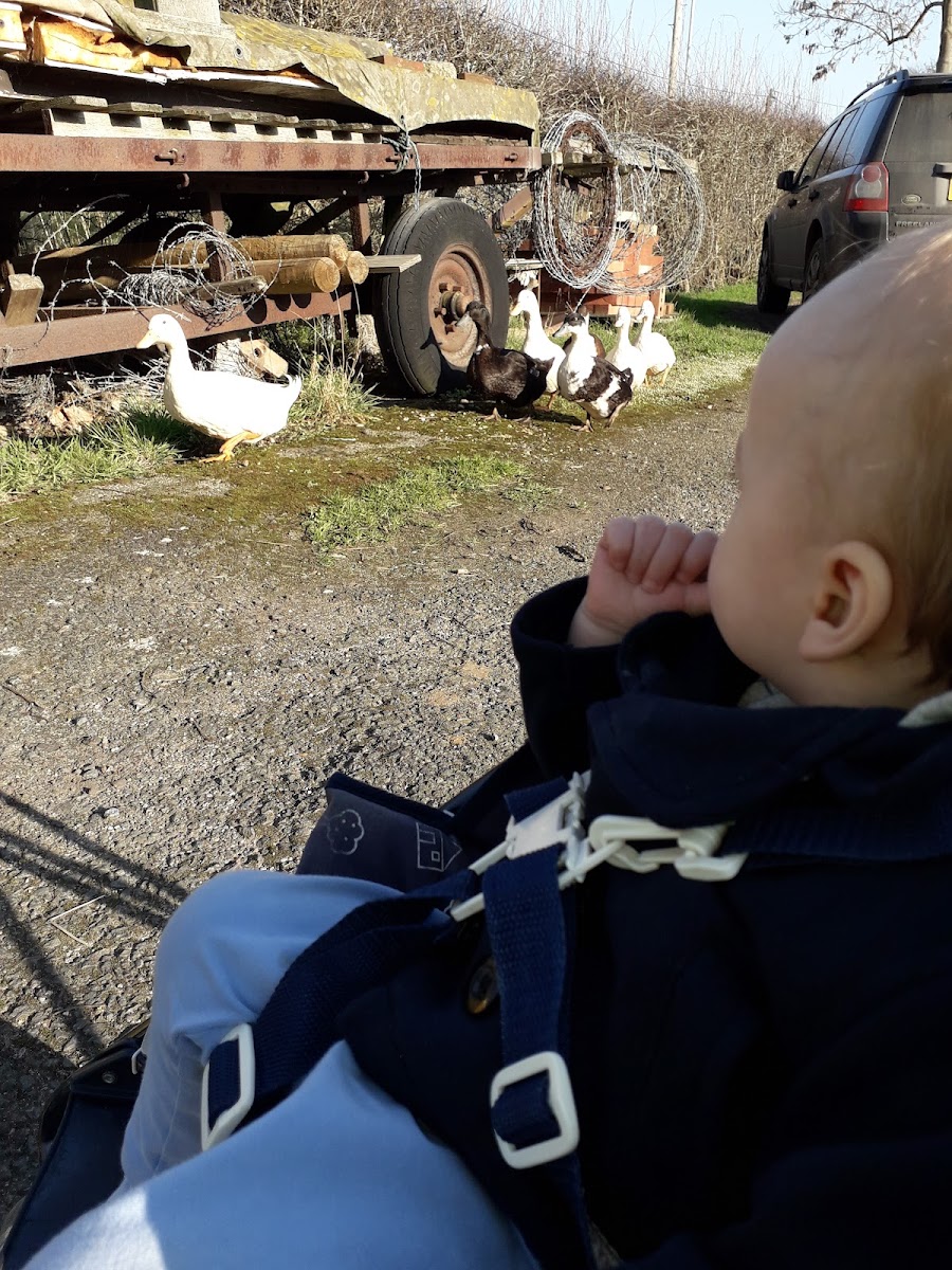 Burgess Farm Shop