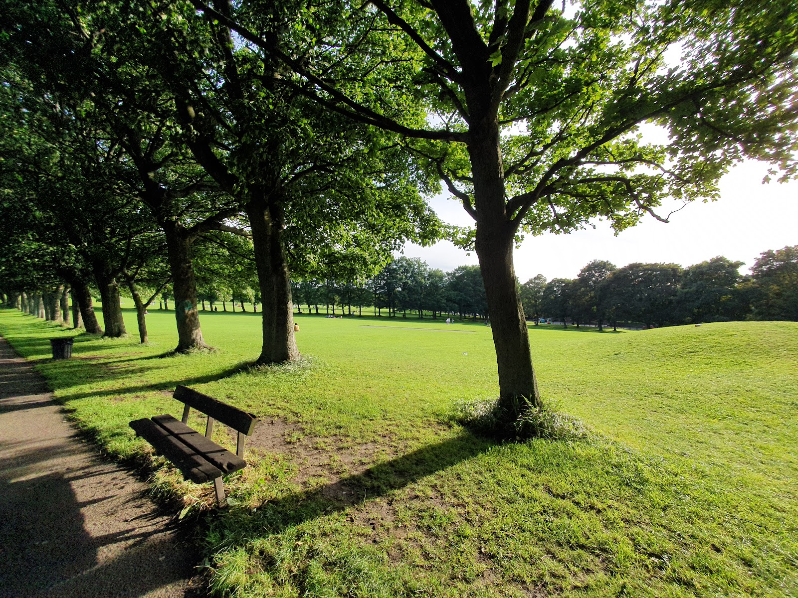 Woodhouse Moor