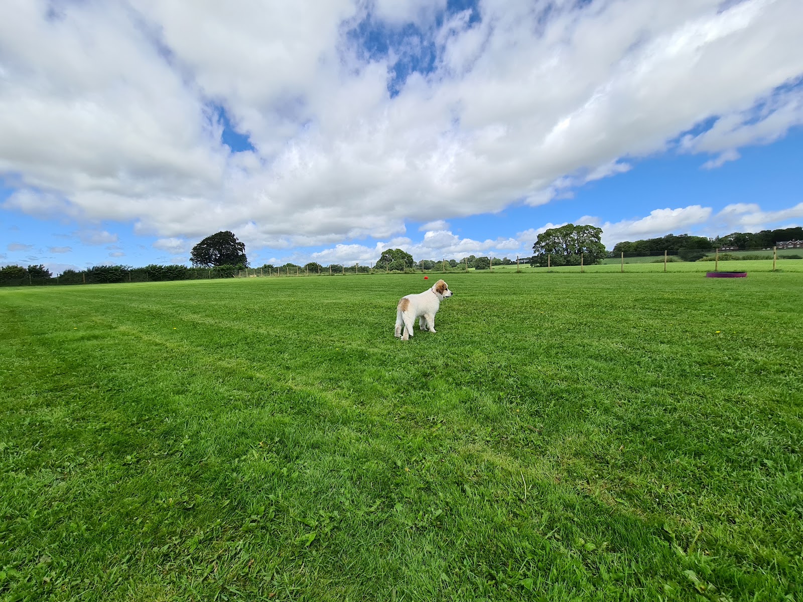 Castle Farm Secure Field