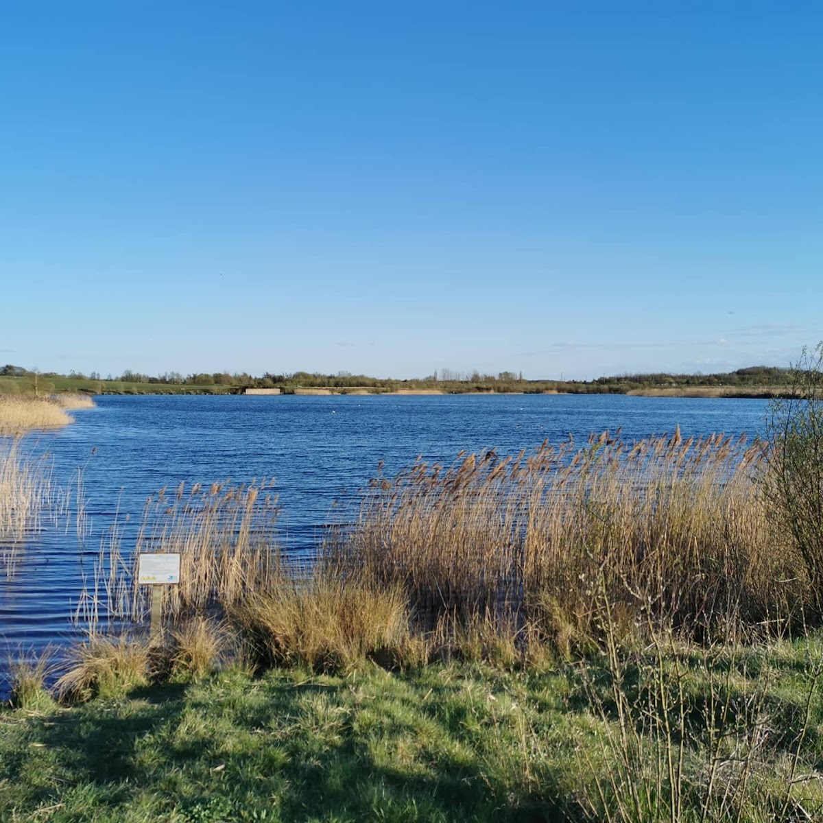 Bower's Lake