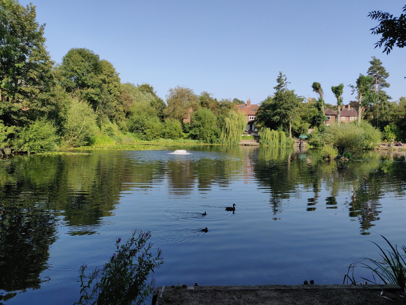 Mayfield Public Open Space