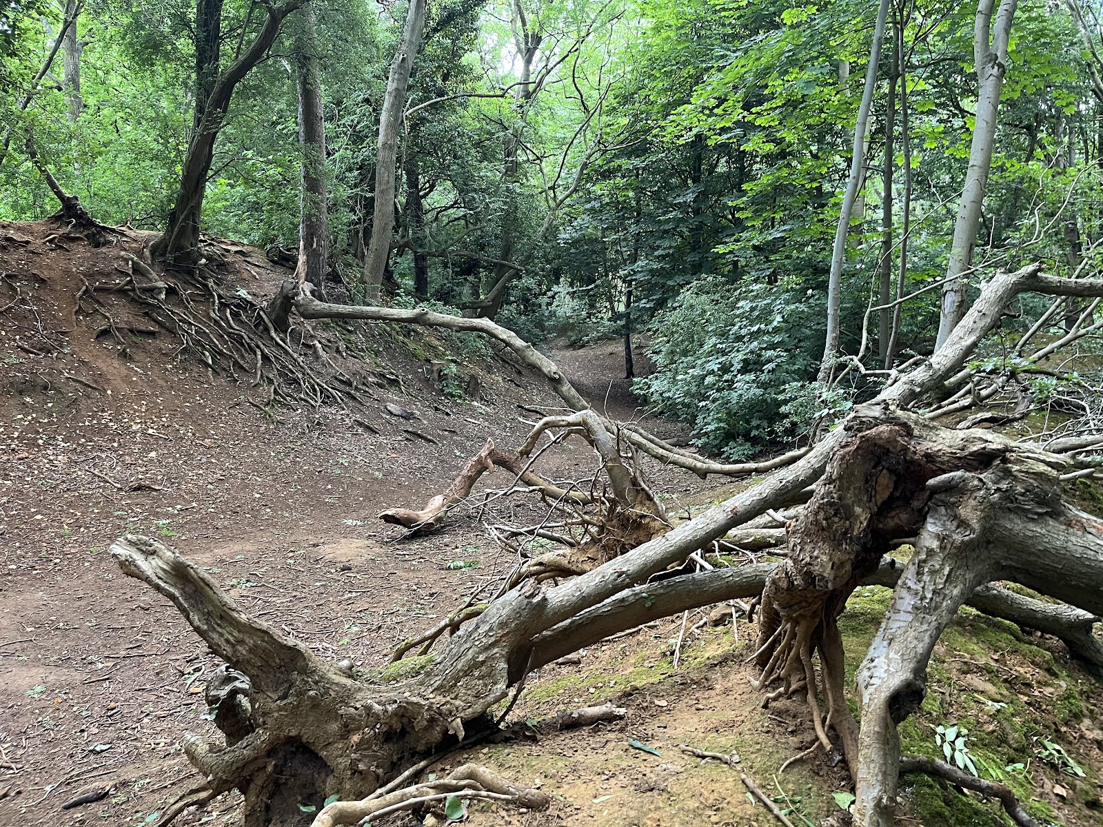 Hunsbury Hill