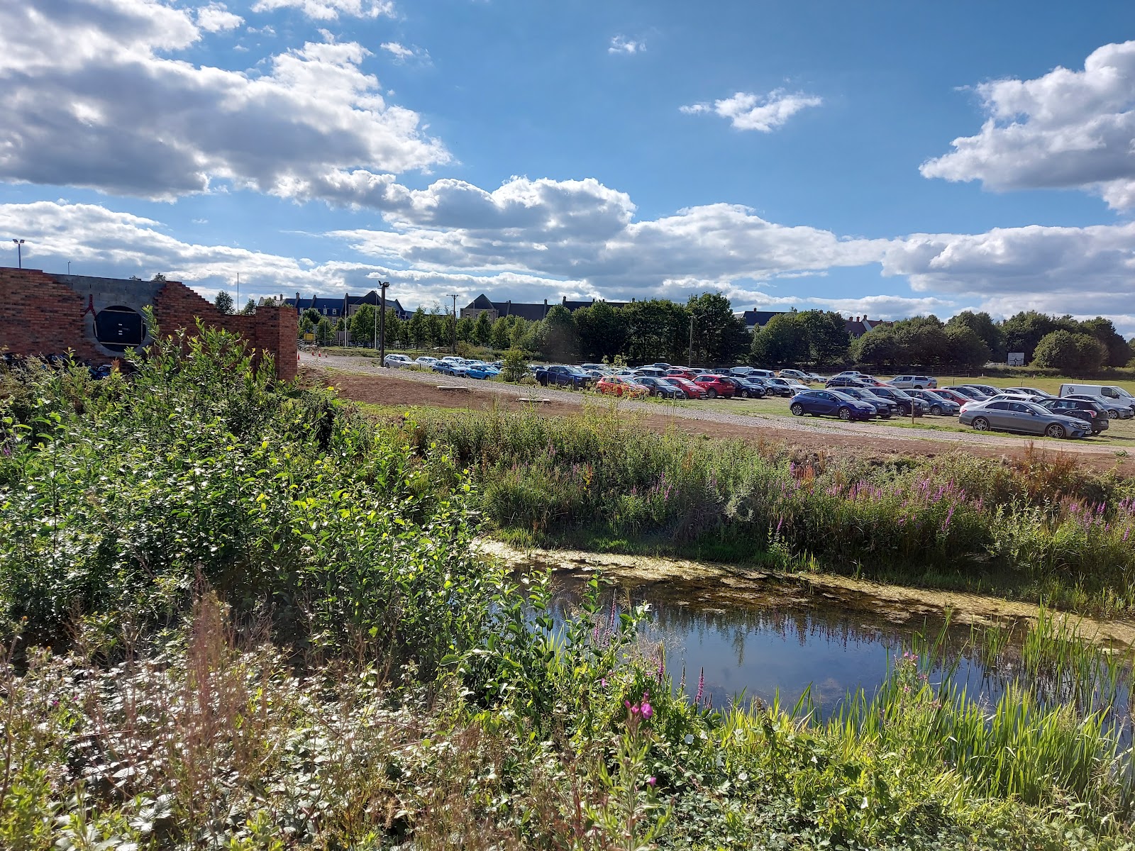 Duston Mill Meadow