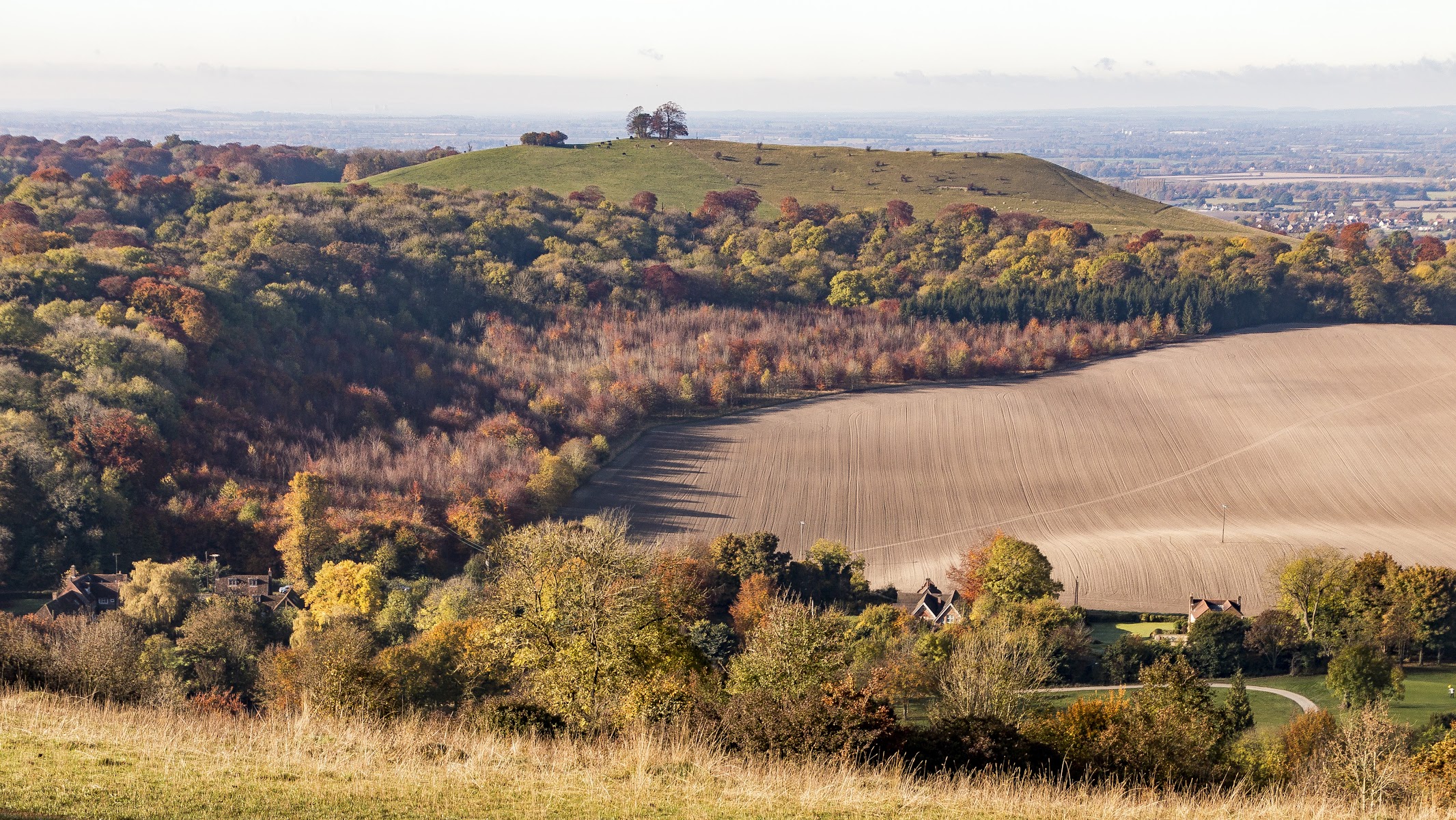 National Trust - Chilterns Countryside