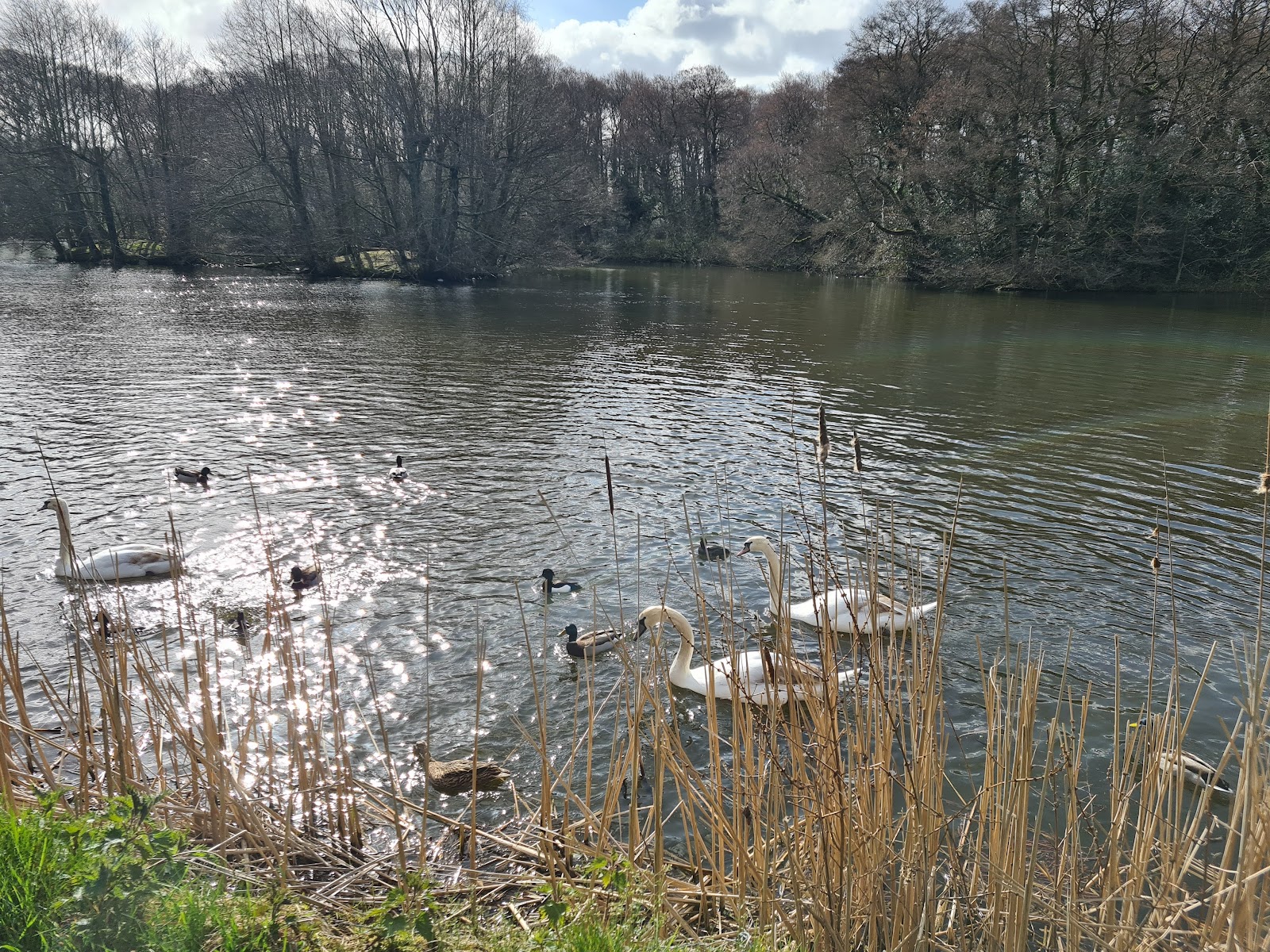 Hill Hook Nature Reserve