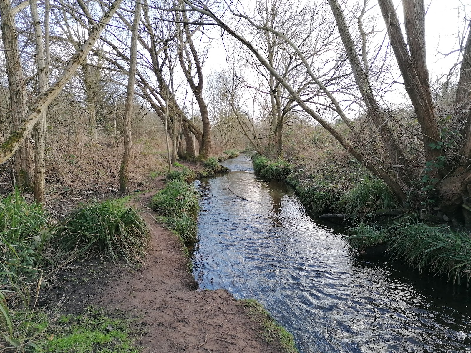 Newhall Valley Country Park