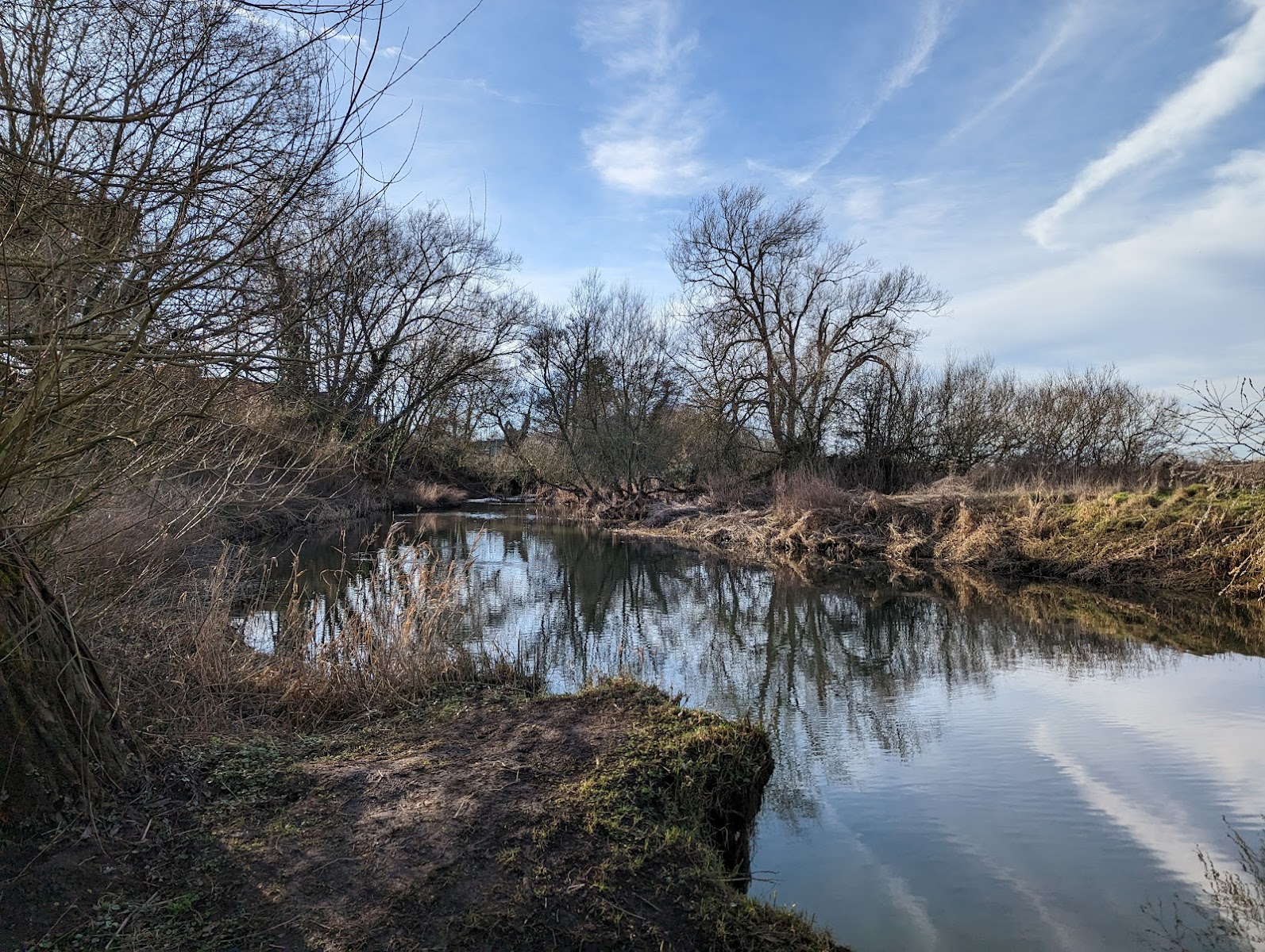 Steetley Meadows