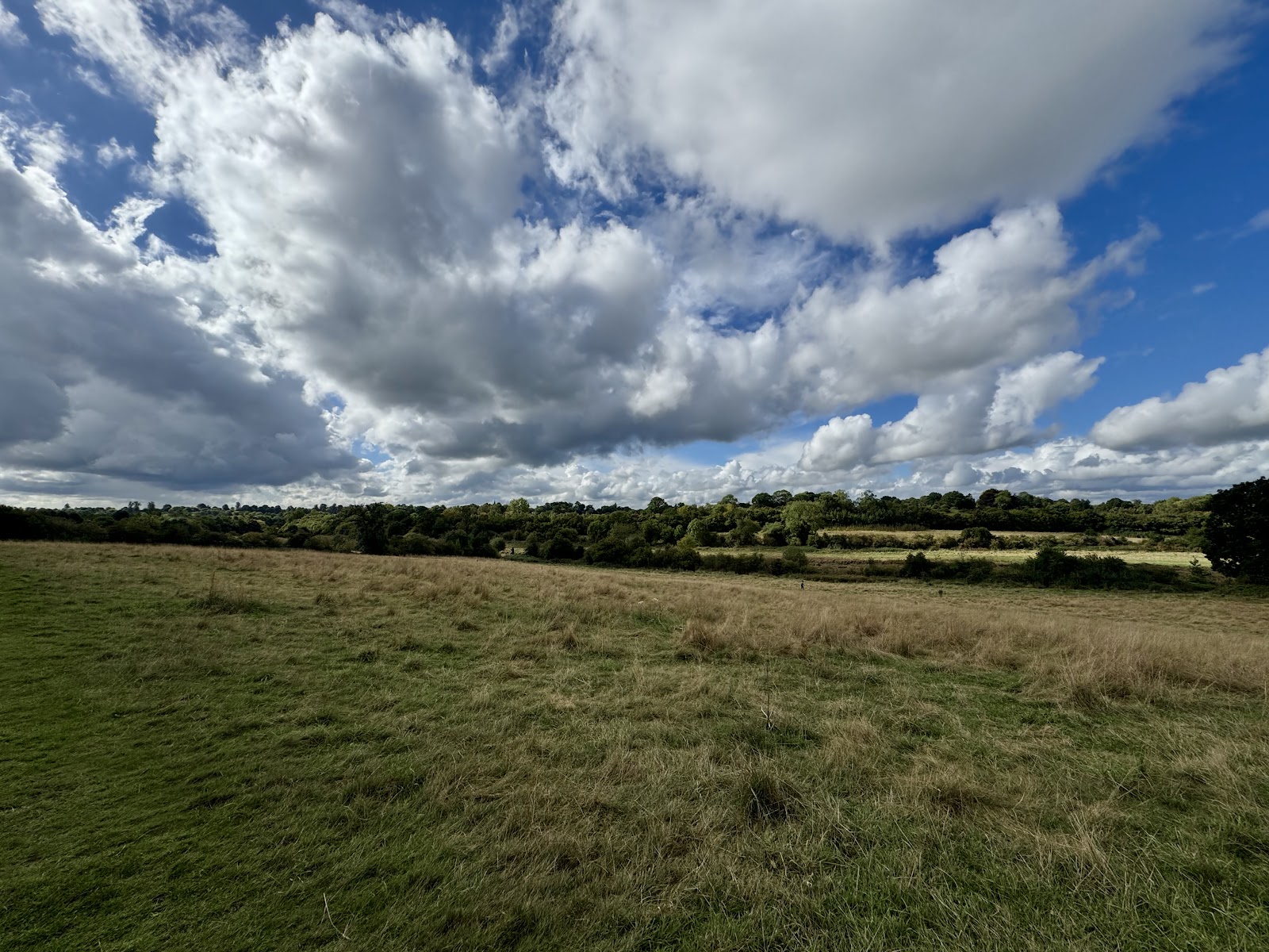 Coundon Wedge