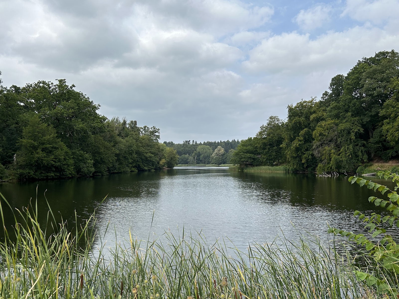 National Trust - Dudmaston: Comer Woods