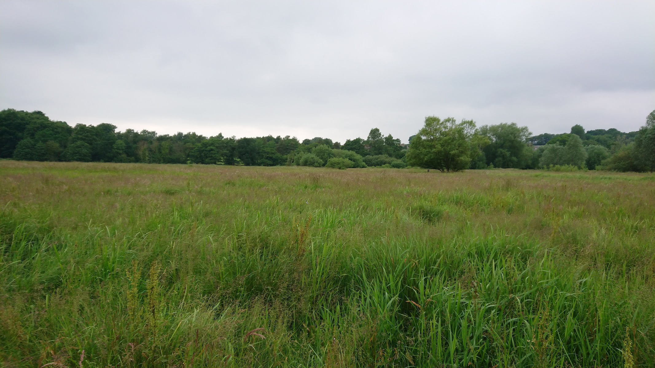 Marston Marsh