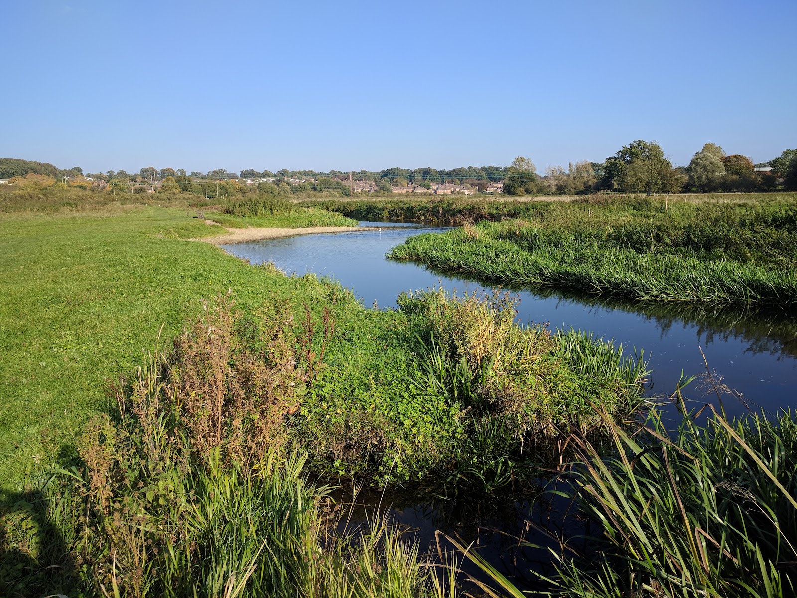Bowthorpe Marsh
