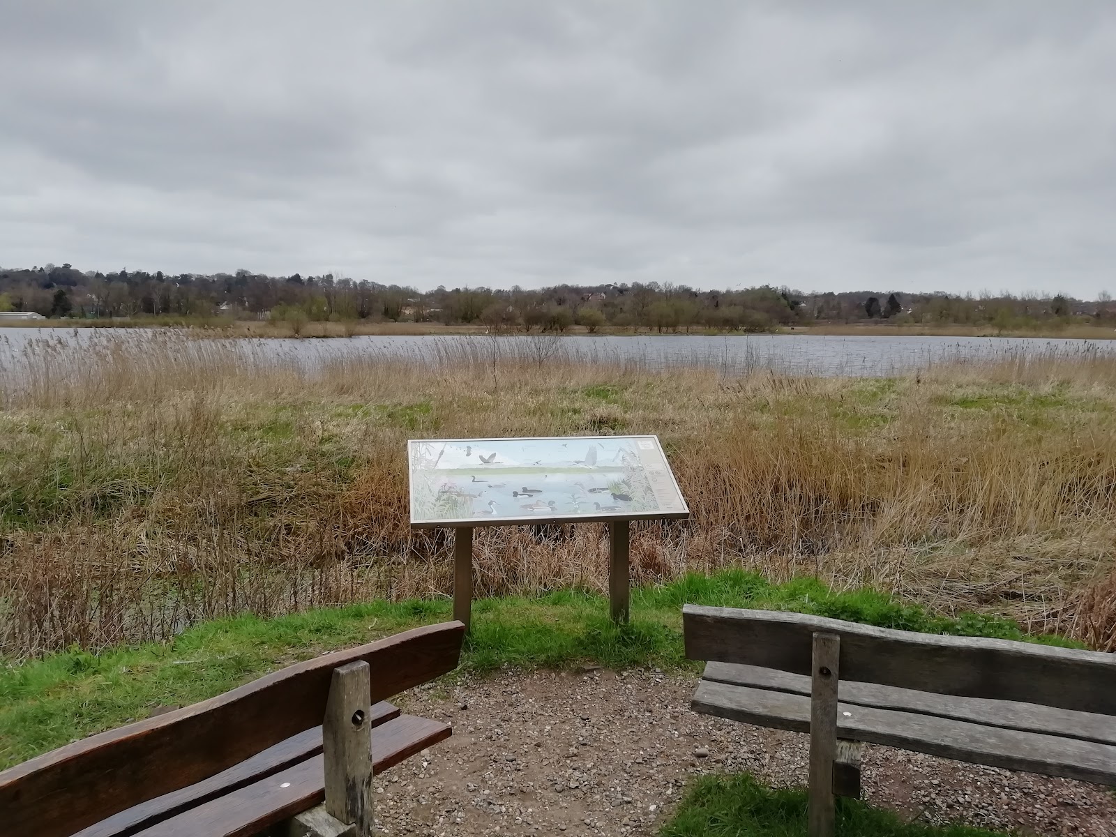 Thorpe Marshes