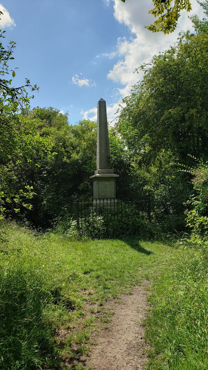 Nine Wells