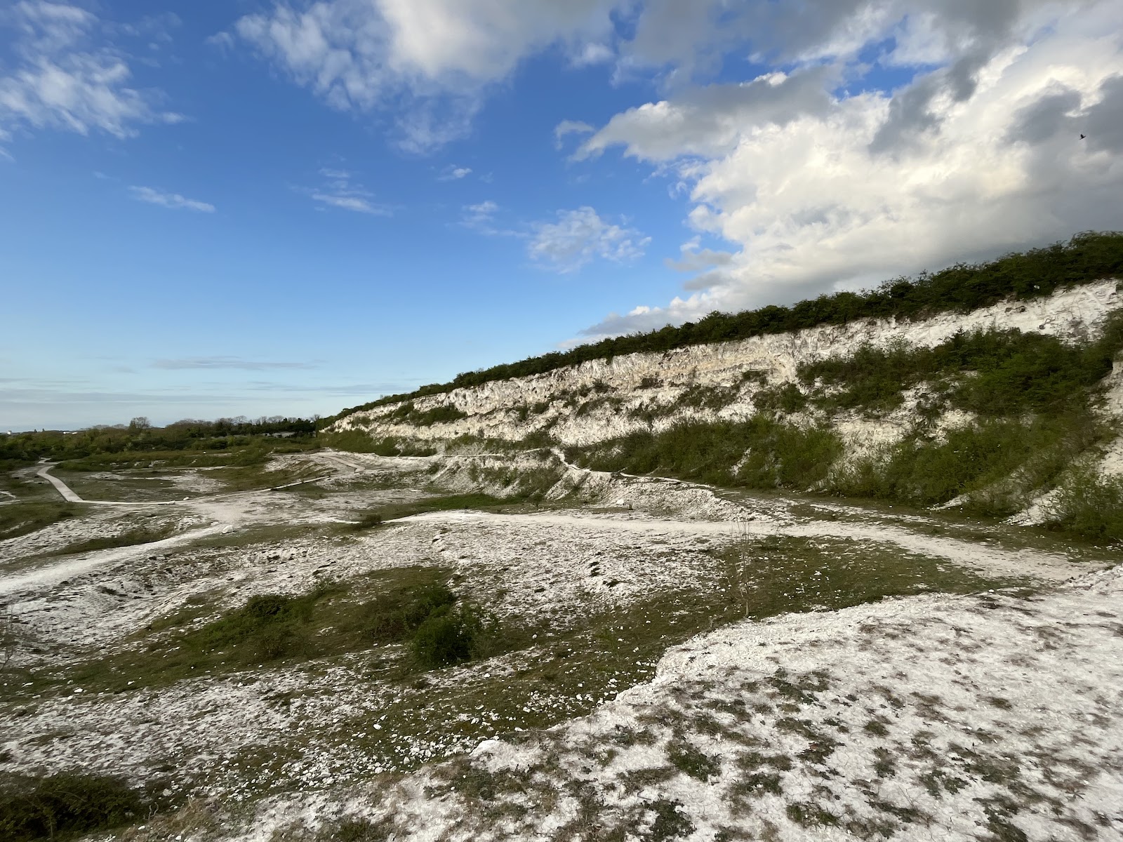 Cherry Hinton Chalk Pits