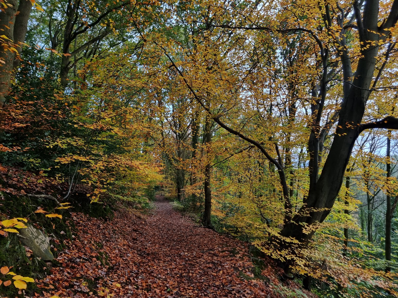 Moss Valley Country Park