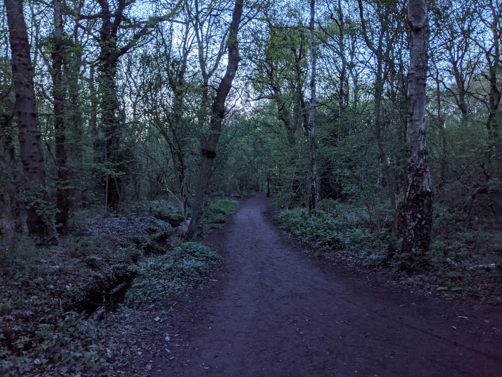 Stanney Woods