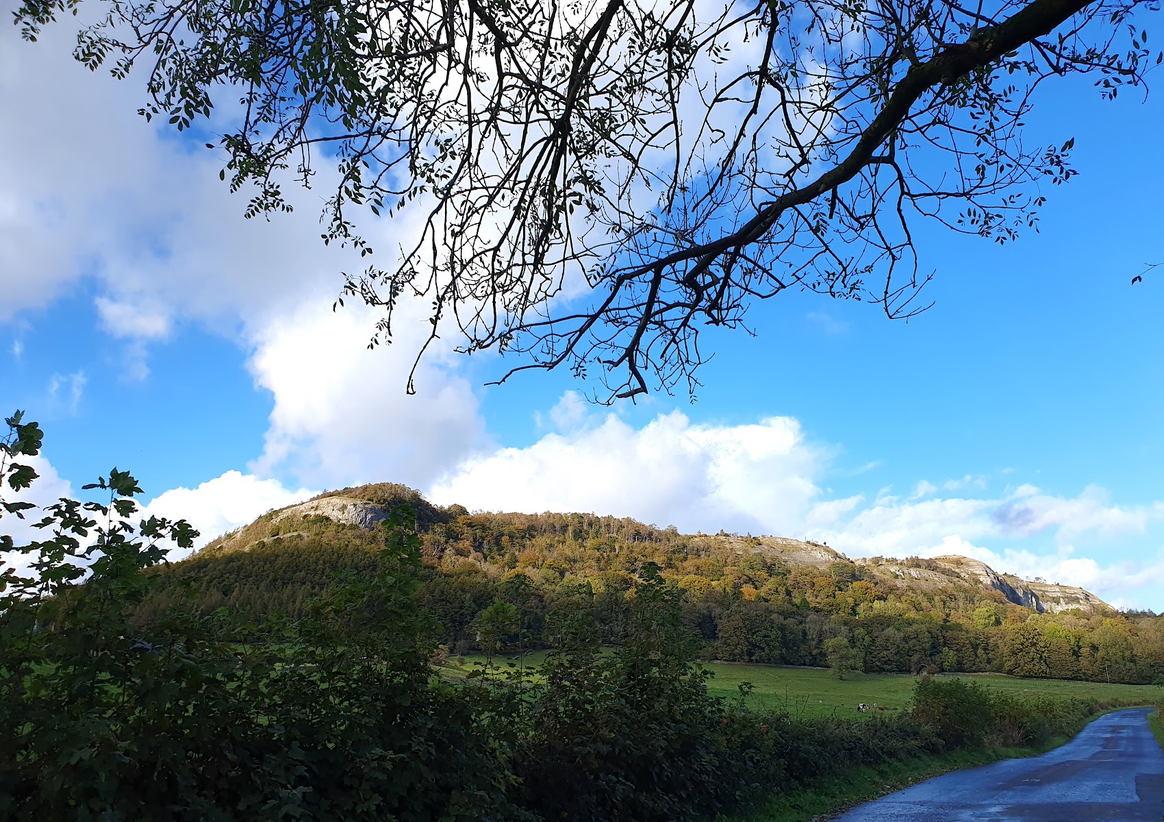 Whitbarrow - Forestry England