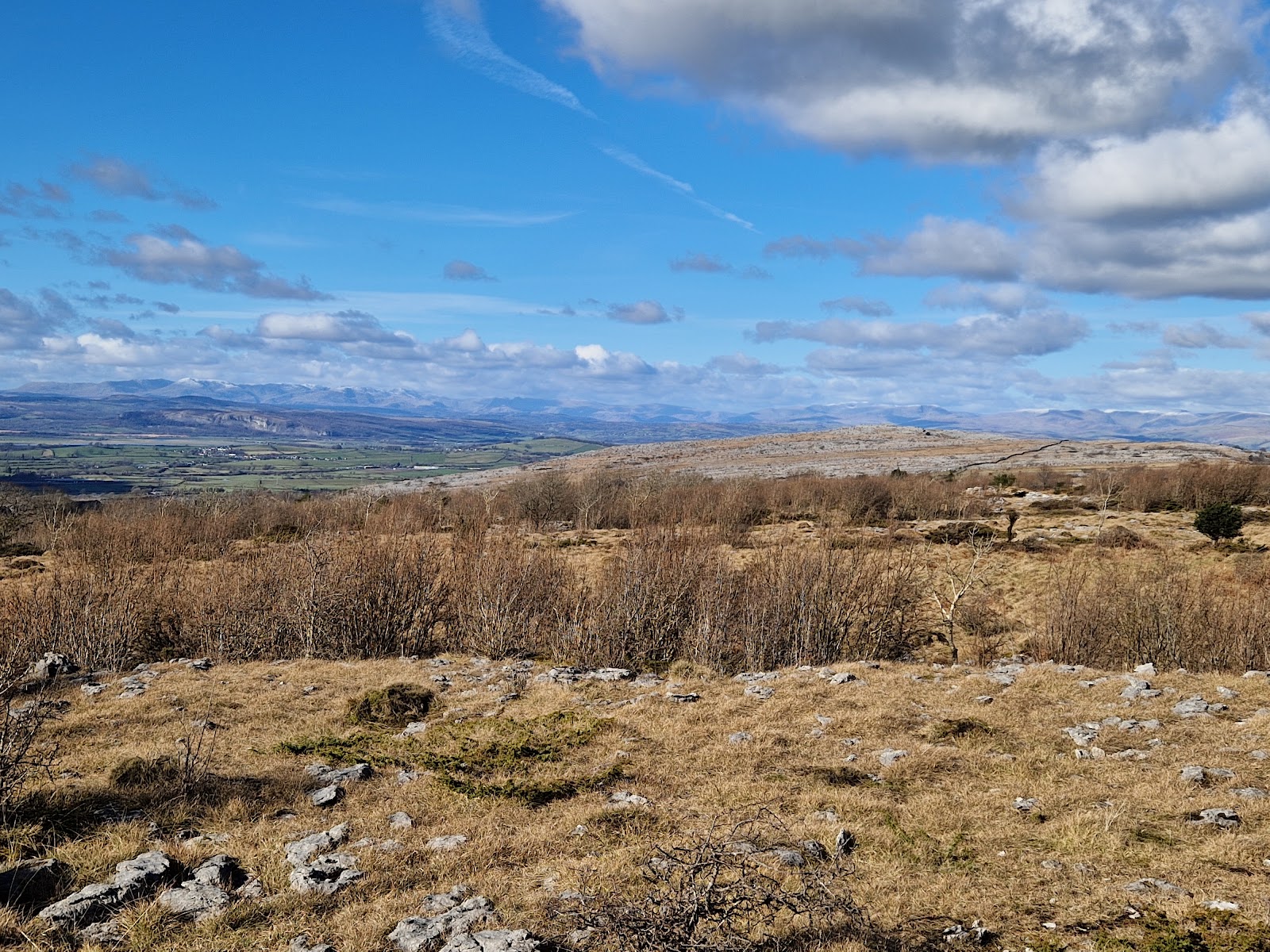 Dalton Crags