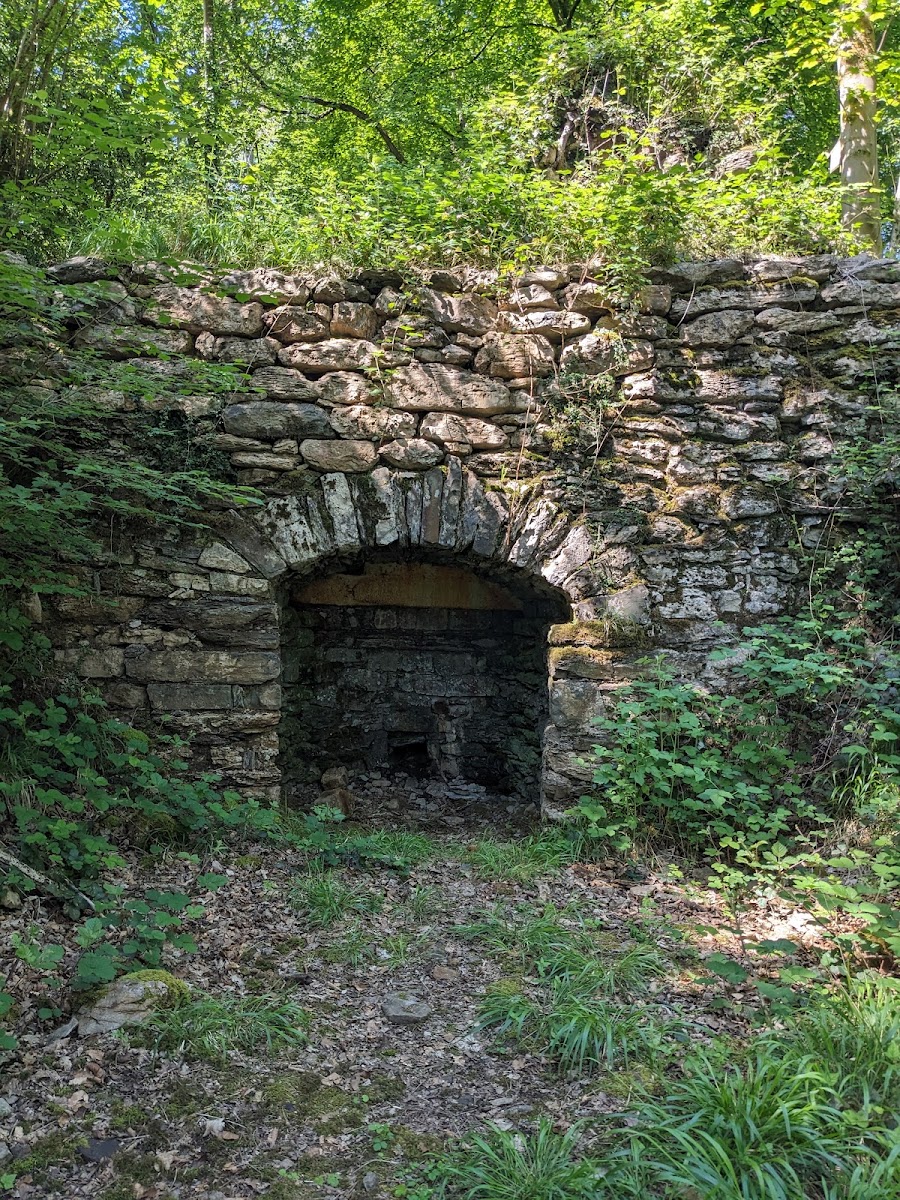Lime Kiln Wood