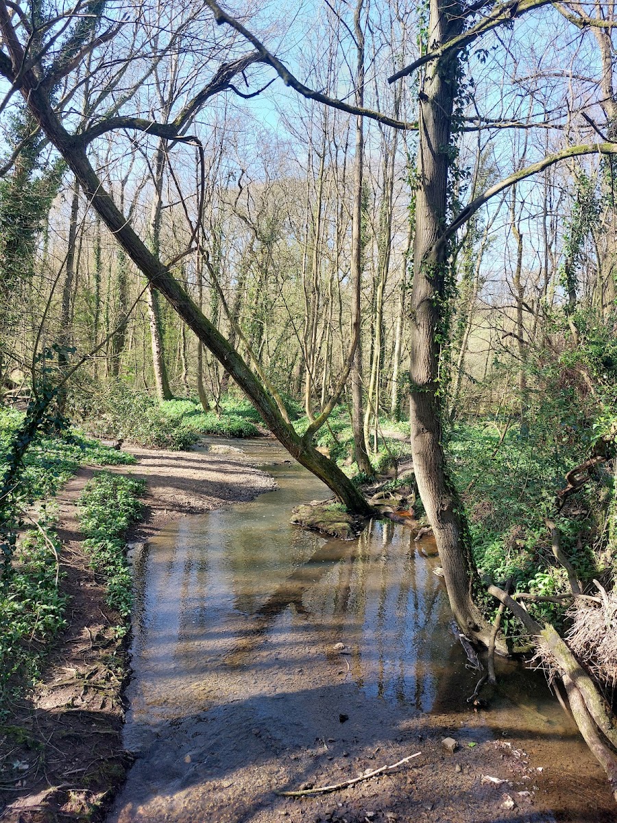 Moss Valley Woodlands Nature Reserve