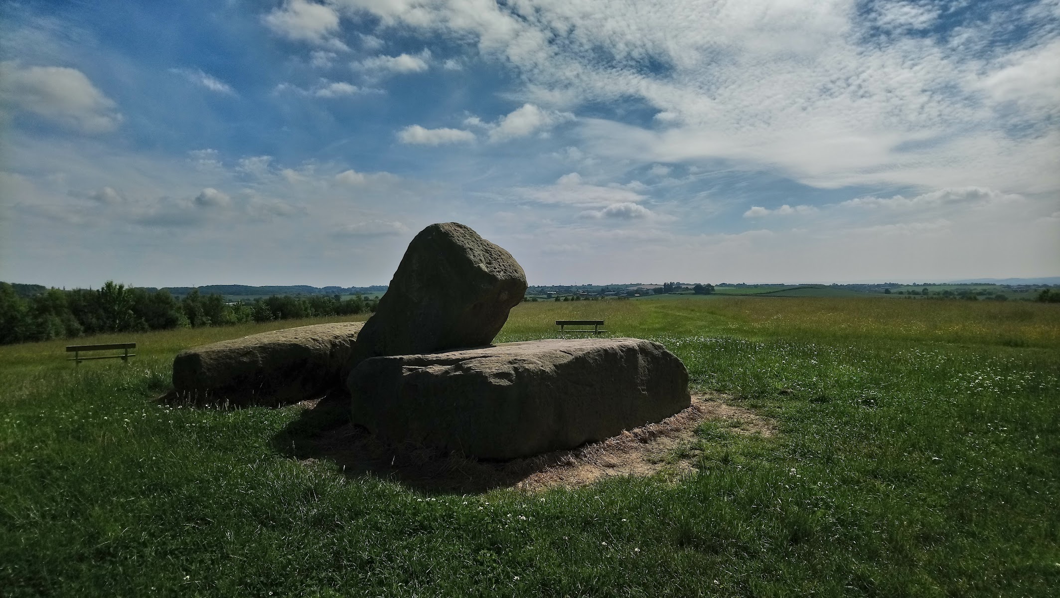 Kiveton Community Woodland