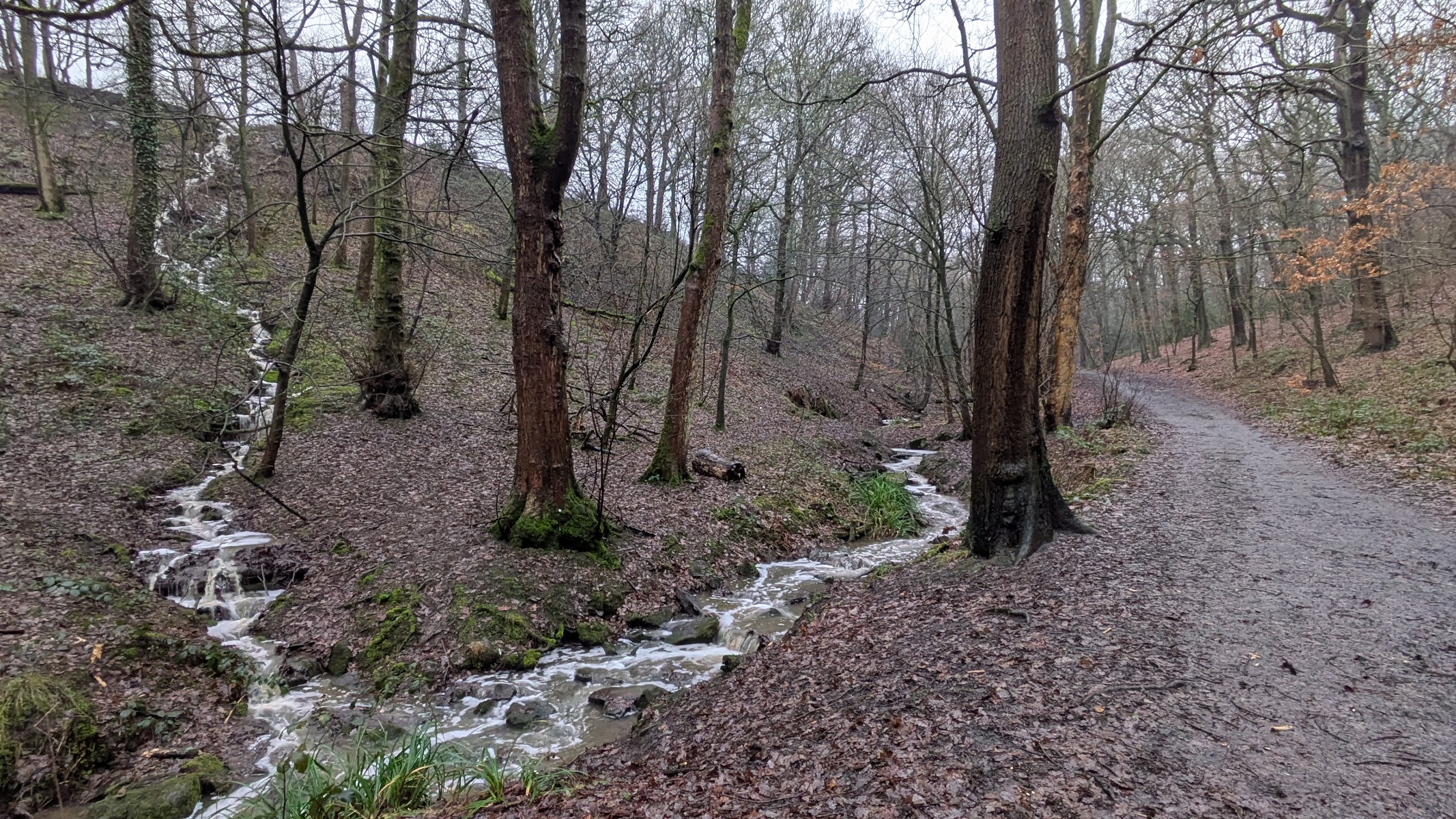 Northcliffe Woods