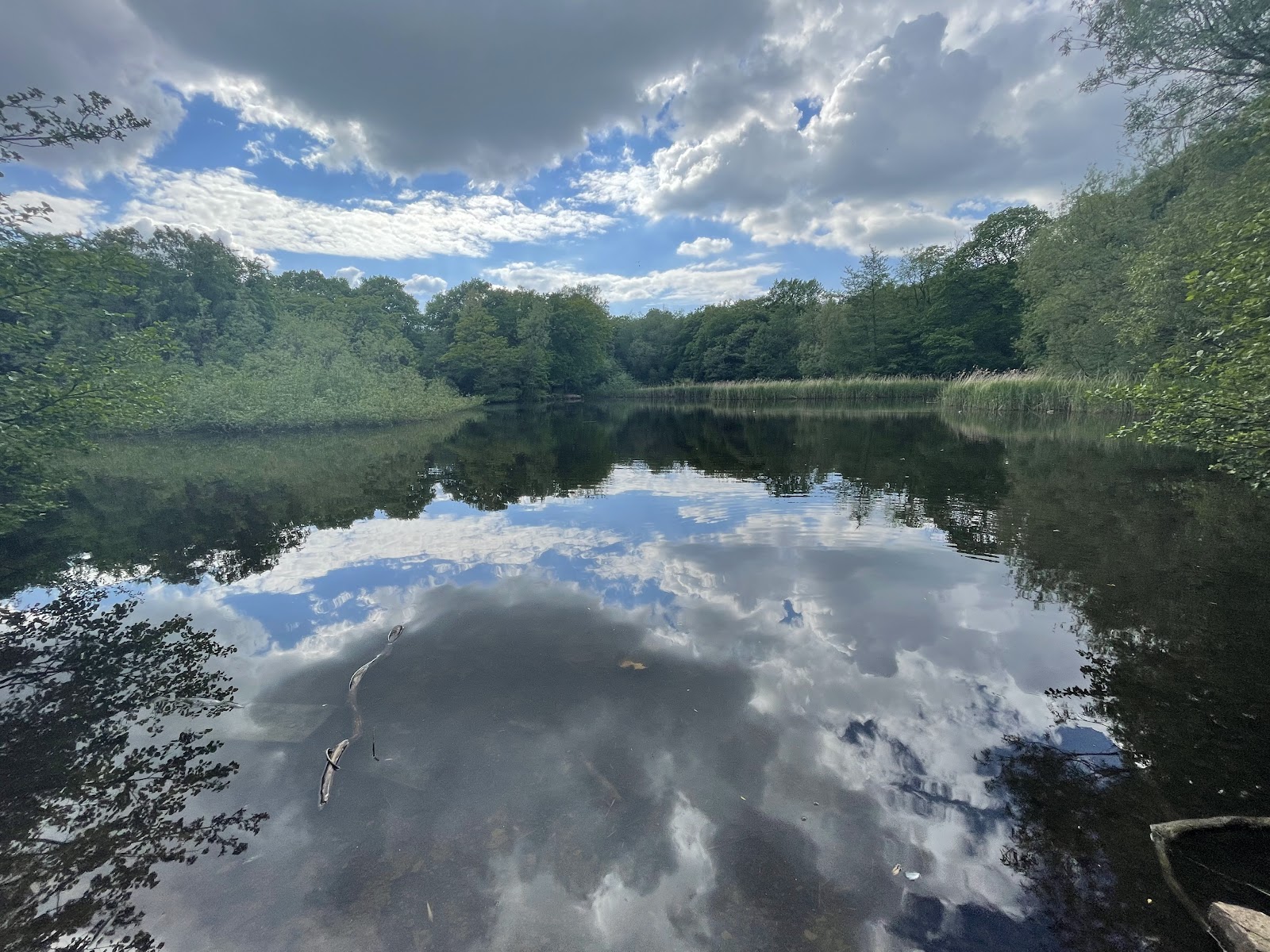 Woodhall Lake