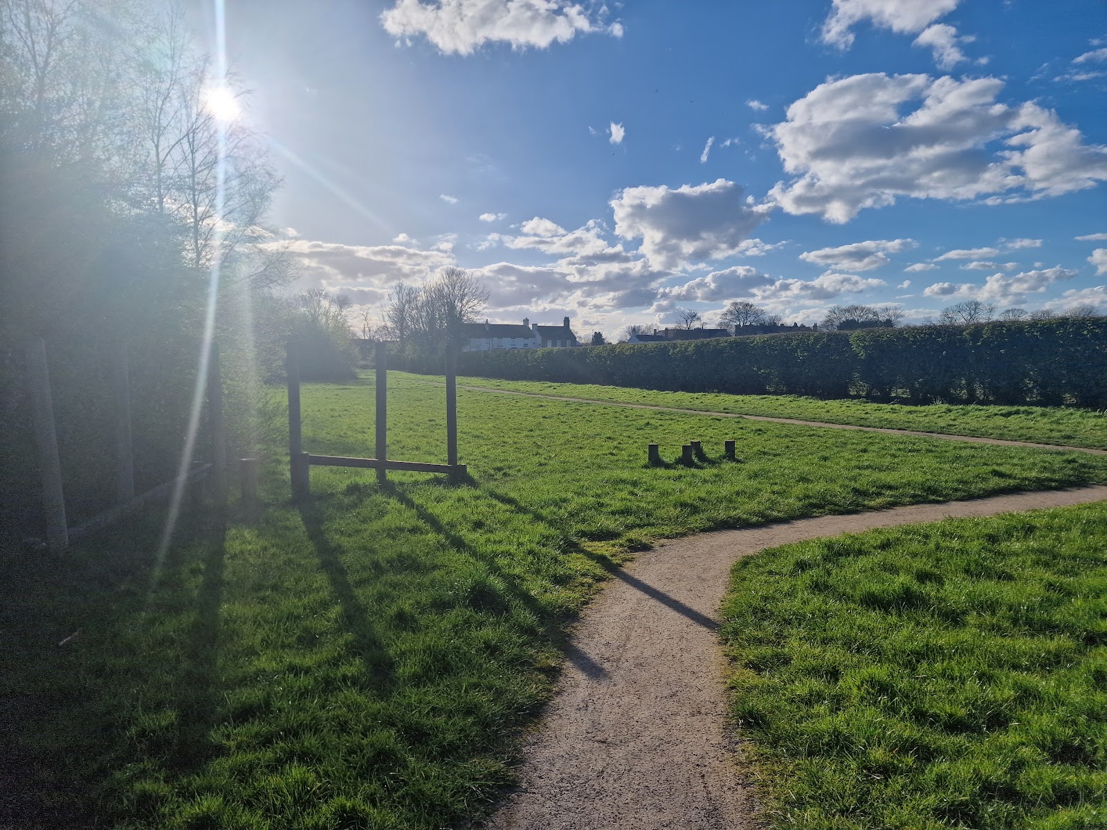 Selby Community Woodland