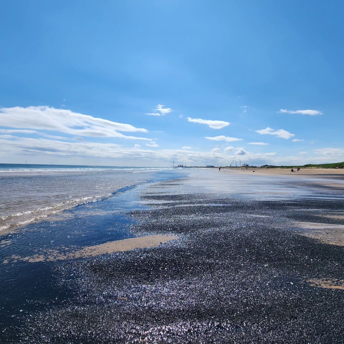 Cambois Beach