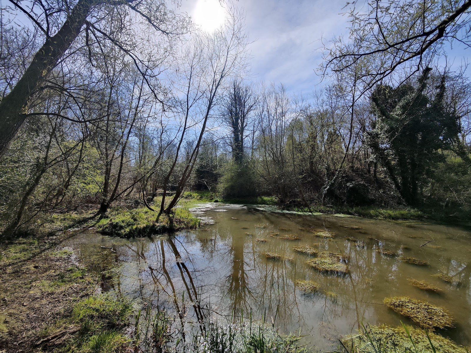 Deer's Leap Wood Nature Reserve
