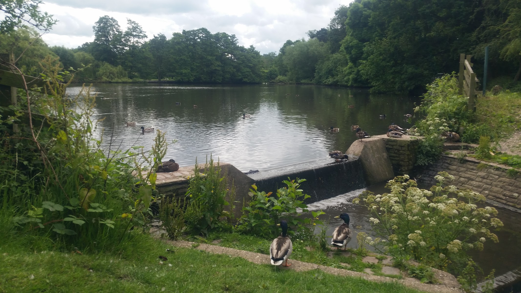 Elmdon Park