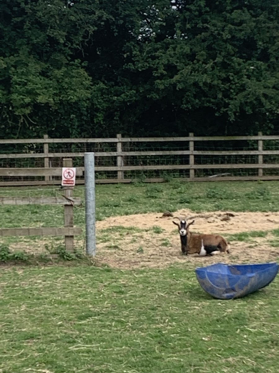 Spencer’s Retreat Care Farm