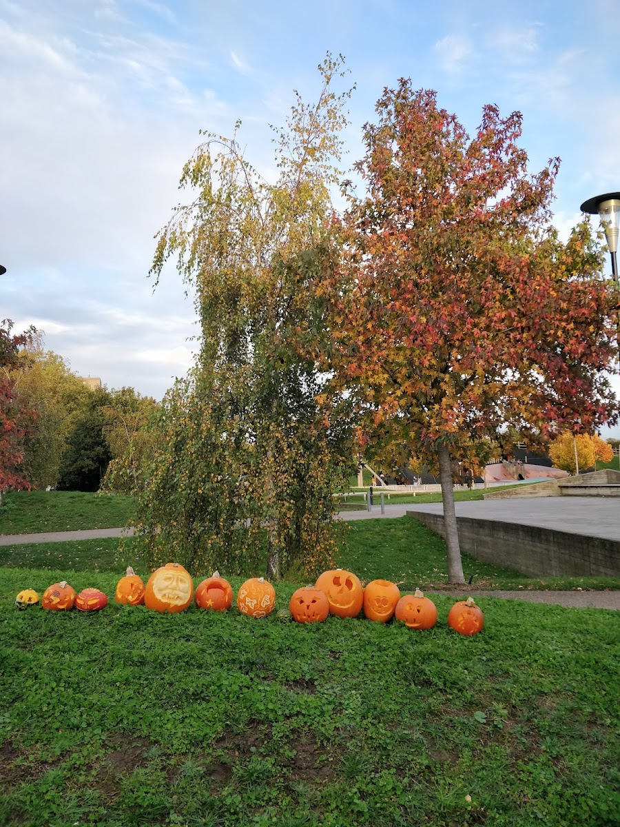 Art in the Park