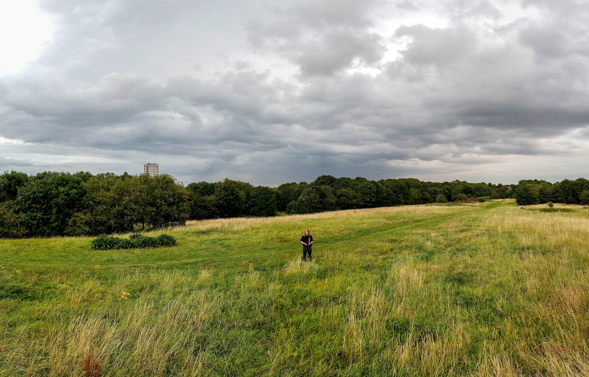 Wyken Croft Nature Park