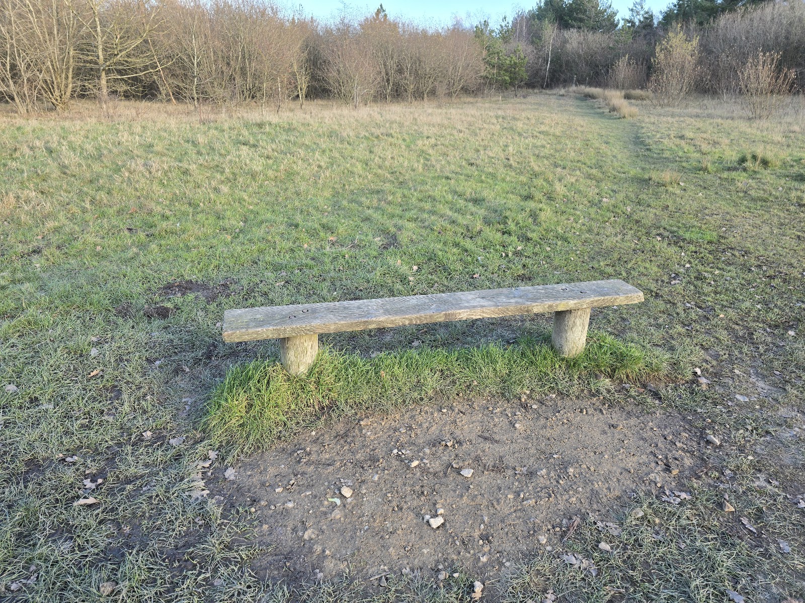 A.M Bench
