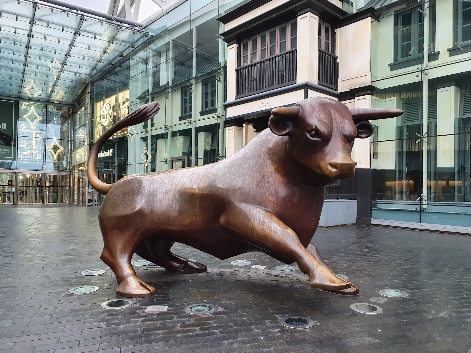 Bull
