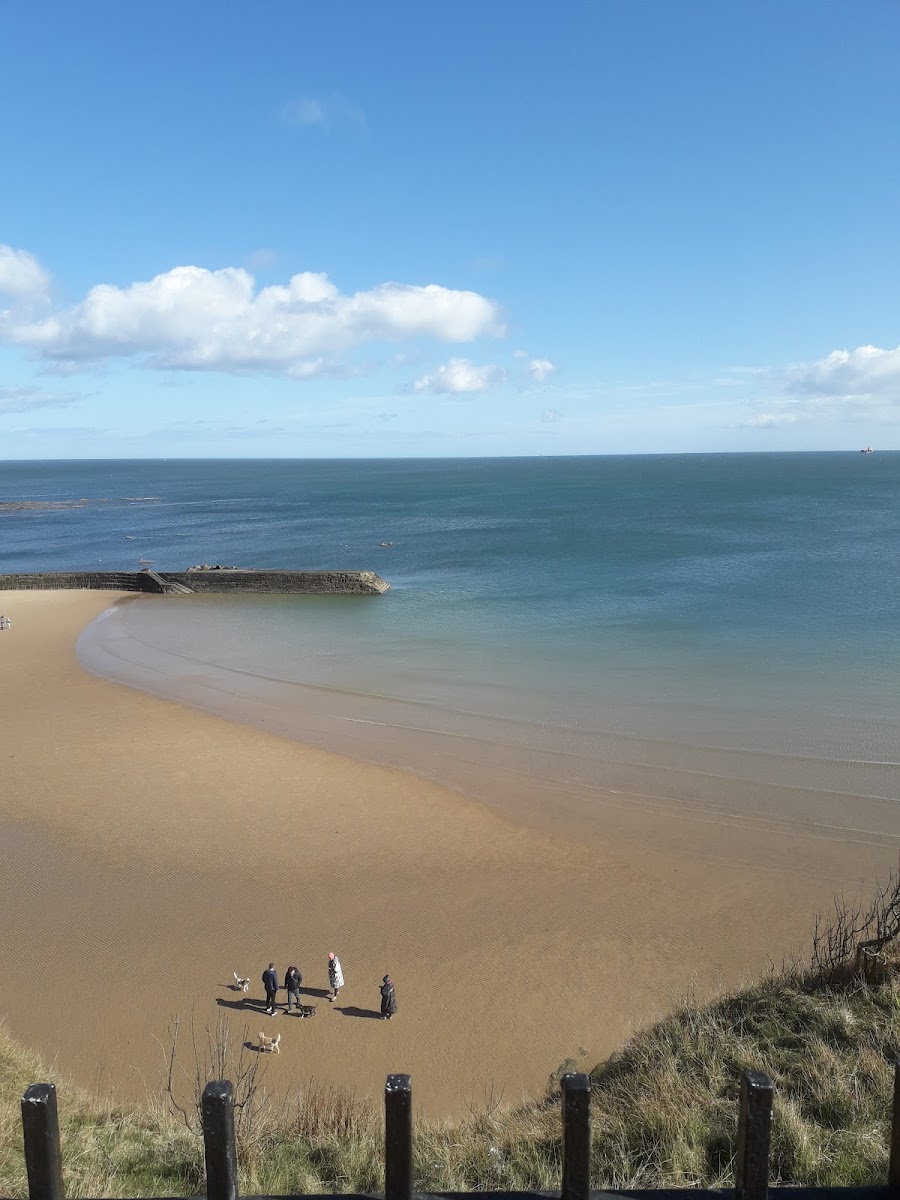 Cullercoats South Pier