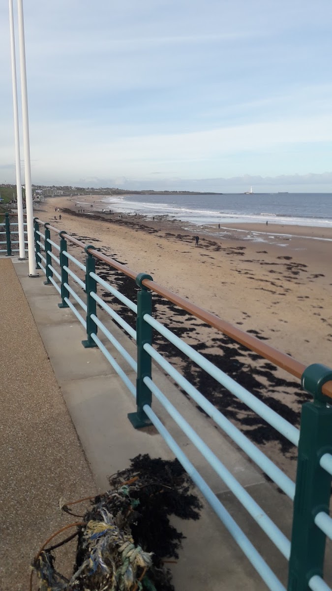 Whitley bay beach