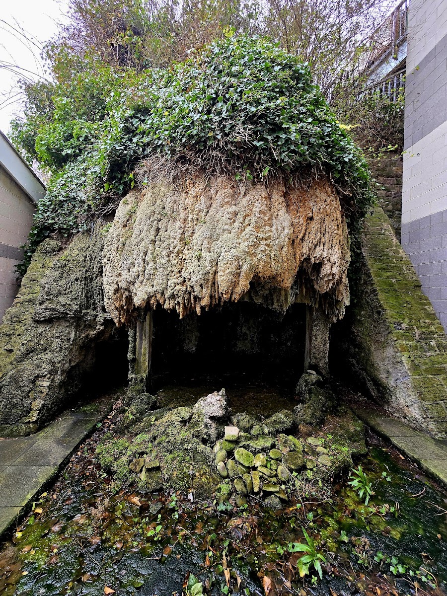 North Dock Tufa