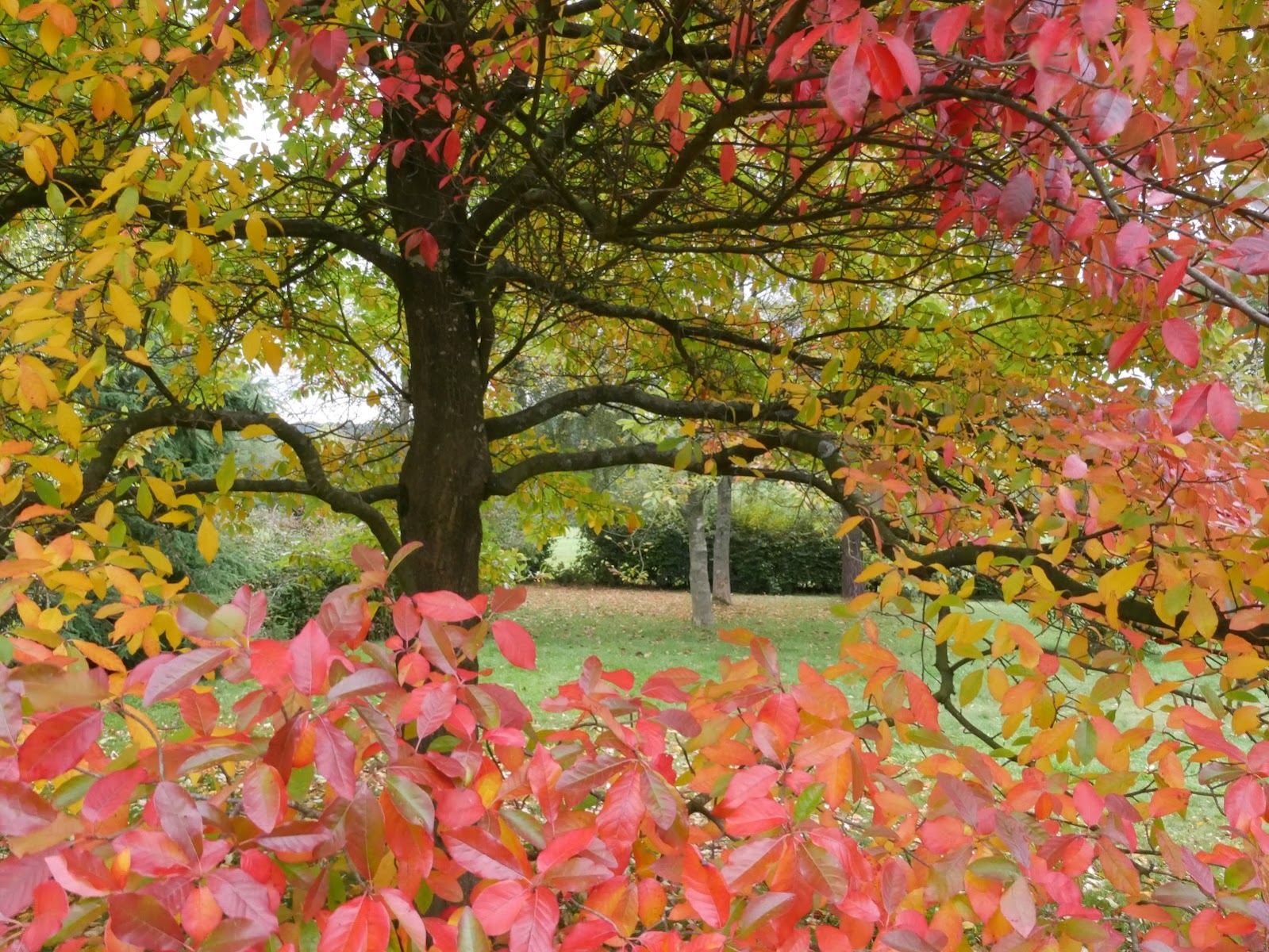 National Trust - Emmetts Garden