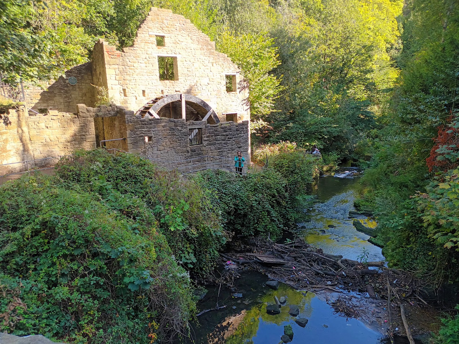 Jesmond Dene Mill