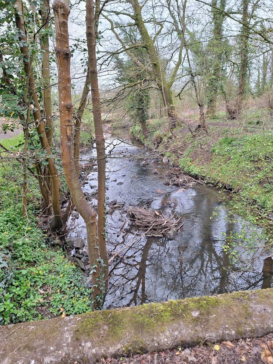 Ingol Lodge