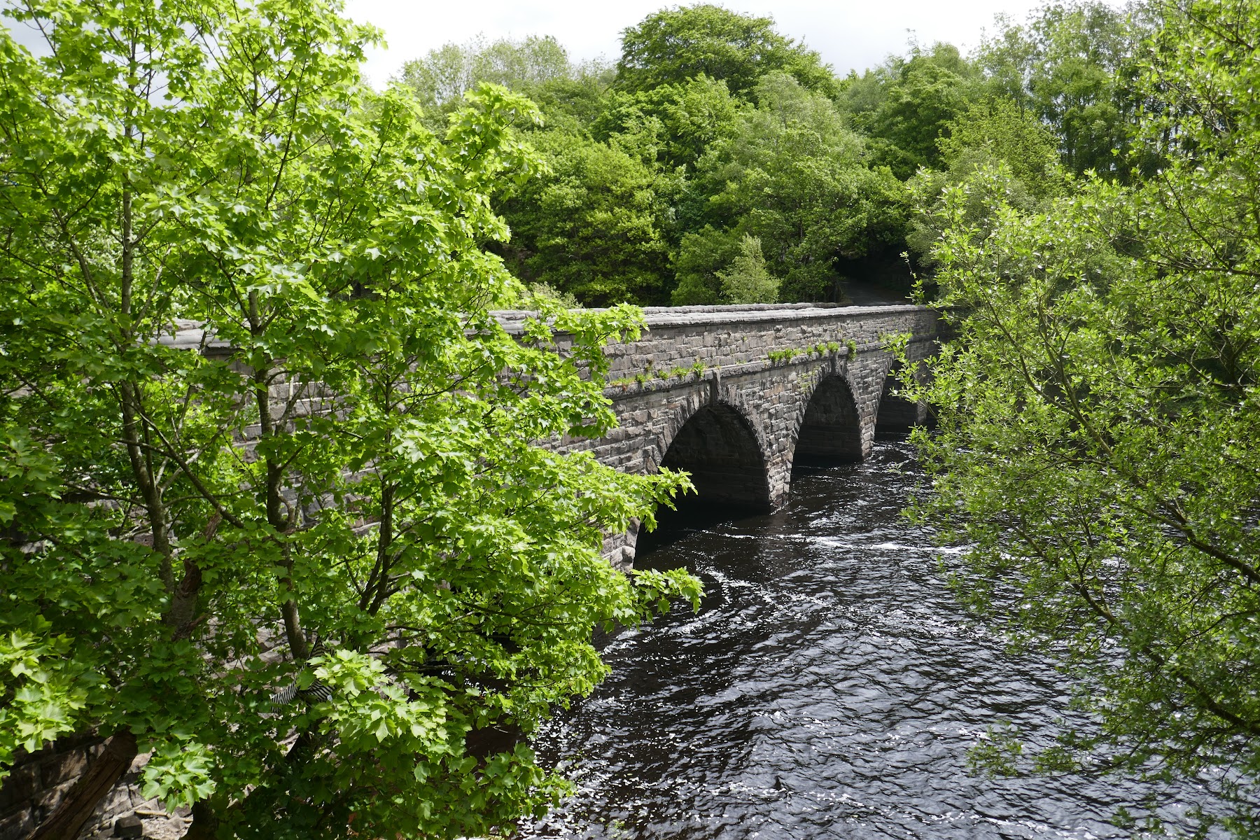 Alance Bridge