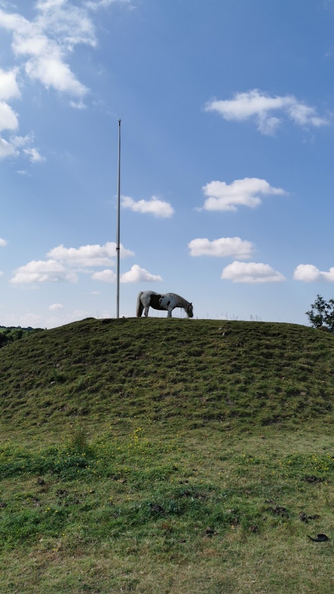 Halton Motte and Bailey