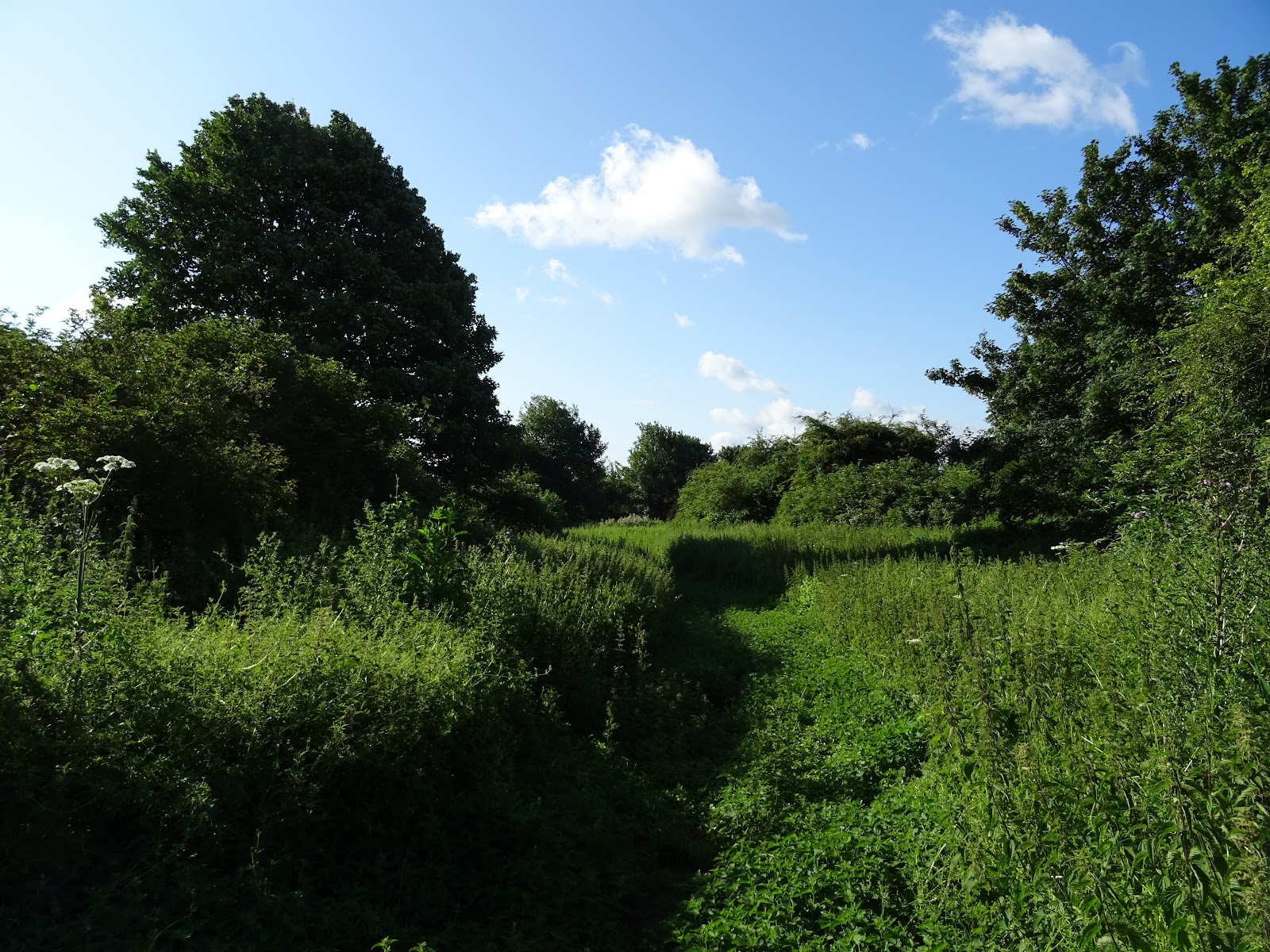 Owston Ferry castle