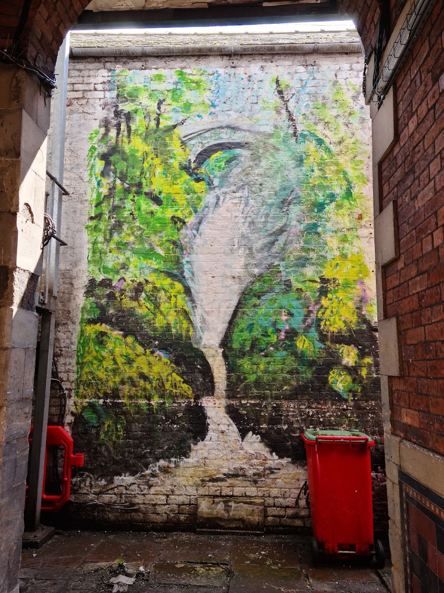 Carlisle Street Art Tour #11 - Aira Force