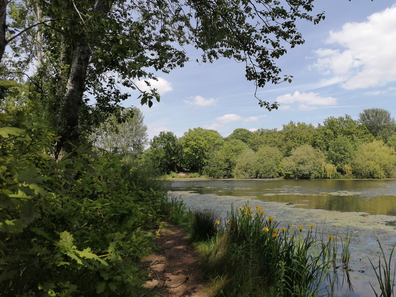 Halsnead Park