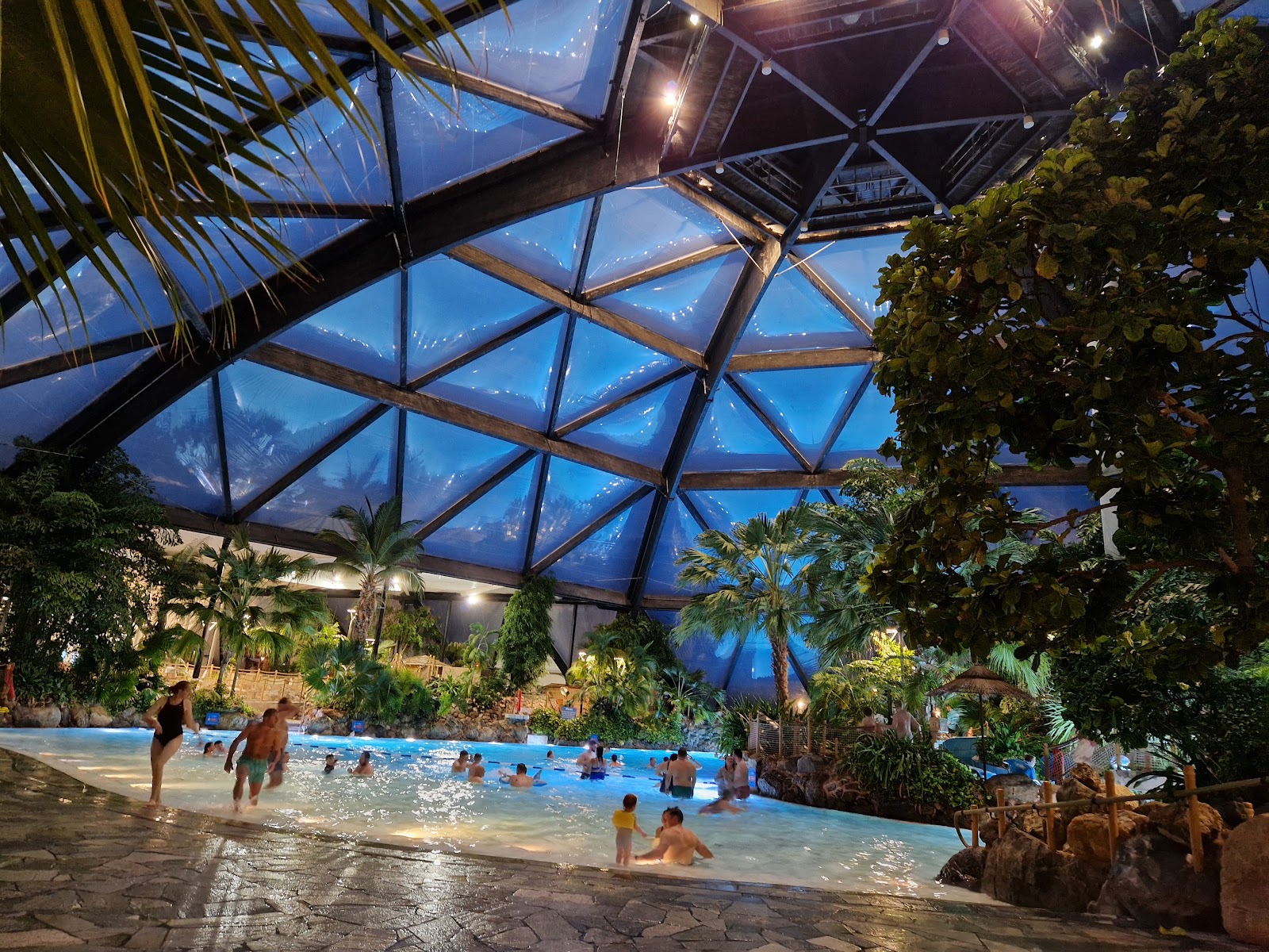 Subtropical Swimming Paradise