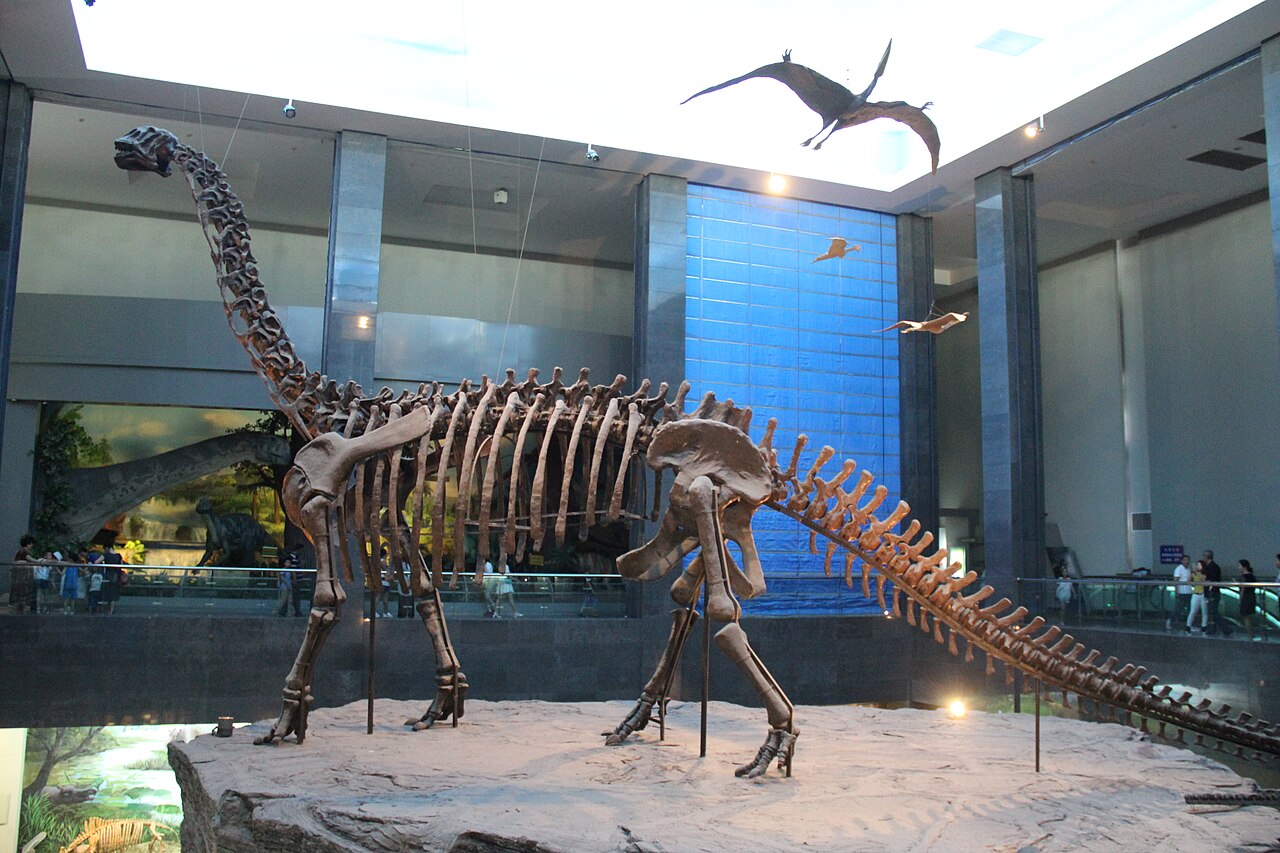 Little Dinosaurs